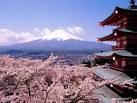 Viaggi Organizzati Giappone e Tokyo